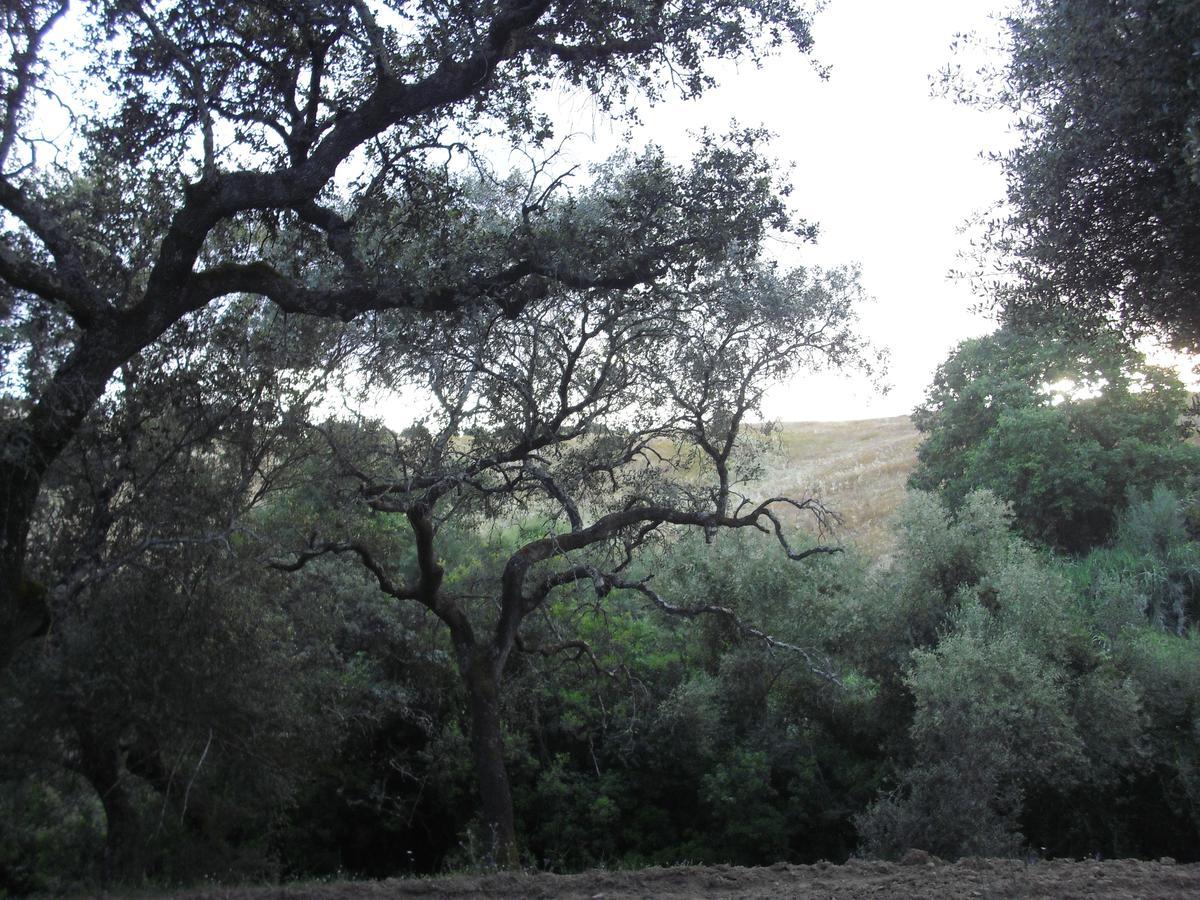 מלון Almodóvar del Río Camping La Brena מראה חיצוני תמונה